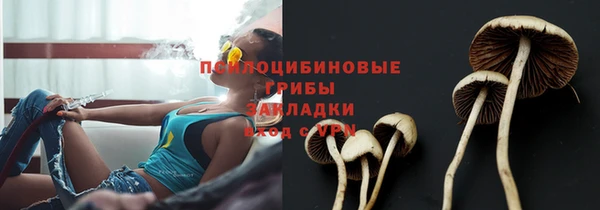 мдма Новозыбков
