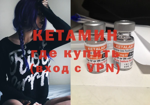 альфа пвп Новодвинск