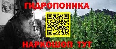 стафф Заволжье