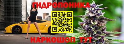 стафф Заволжье