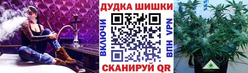 Марихуана сатива Михайловск